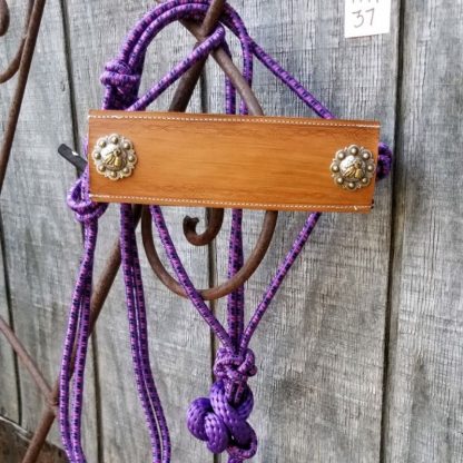 Horse Halter - HH37