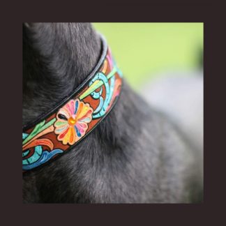 Design Your Own Painted Leather Pet Collar